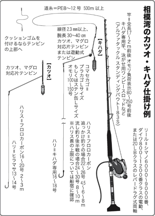 相模湾のライトタックル カツオ・マグロ コマセ釣り | スローセカンドライフ 😄