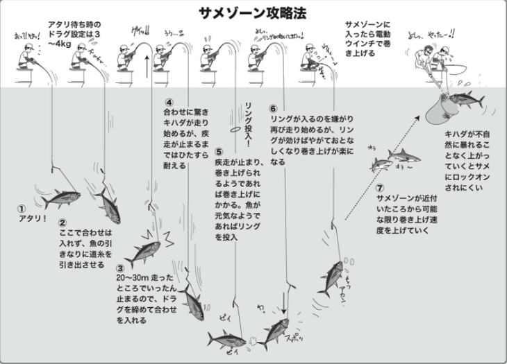 相模湾のライトタックル カツオ・マグロ コマセ釣り | スローセカンドライフ 😄