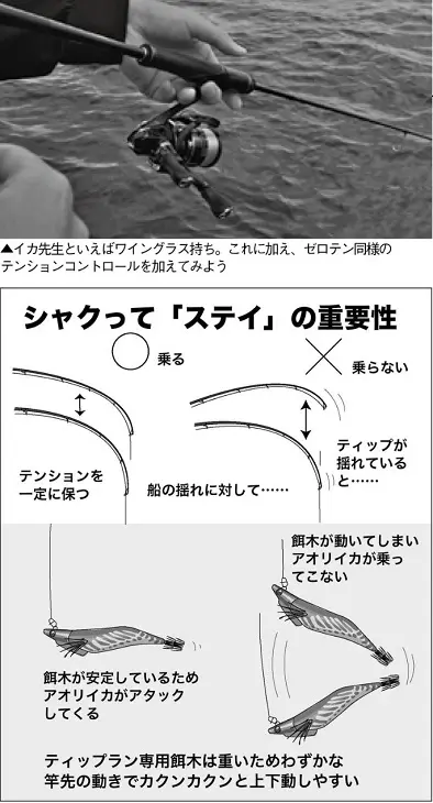 三浦半島 ティップラン エギング 釣り方 スローセカンドライフ