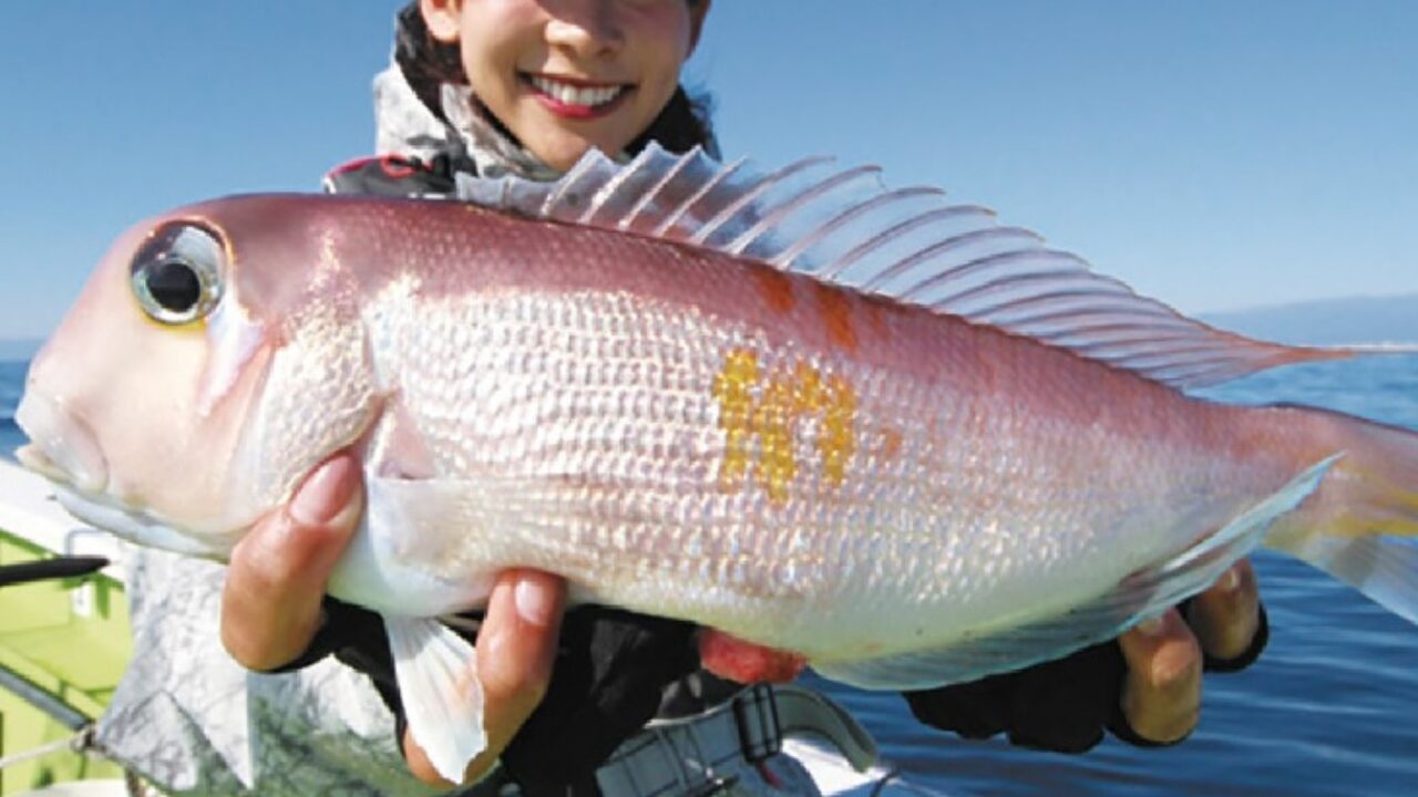 東京湾 相模湾のアマダイ釣り スローセカンドライフ