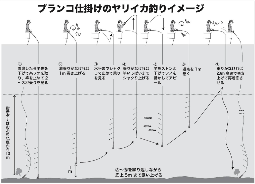 東京湾 相模湾のヤリイカダイ釣り スローセカンドライフ