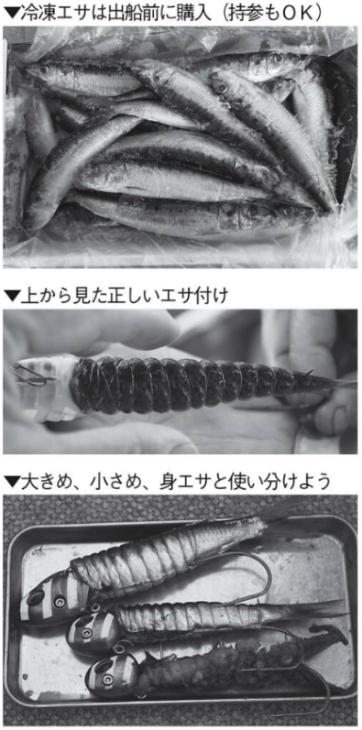 画像に alt 属性が指定されていません。ファイル名: Tsuri-Joho_20250915_25page_2.jpg