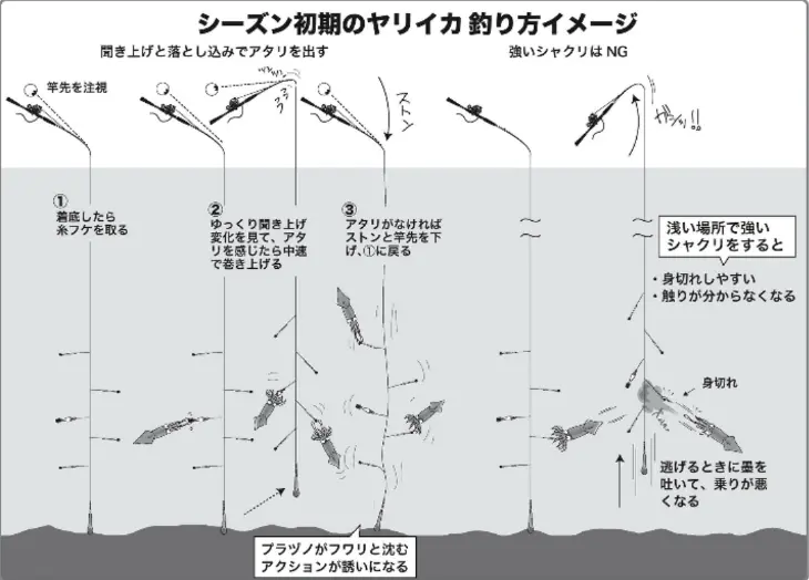 東京湾 相模湾のヤリイカダイ釣り スローセカンドライフ