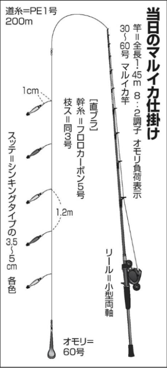 みっく様専用 ダイワ 快適マルイカ仕掛/快適マルイカブランコ仕掛 わざとらしく 2個セット