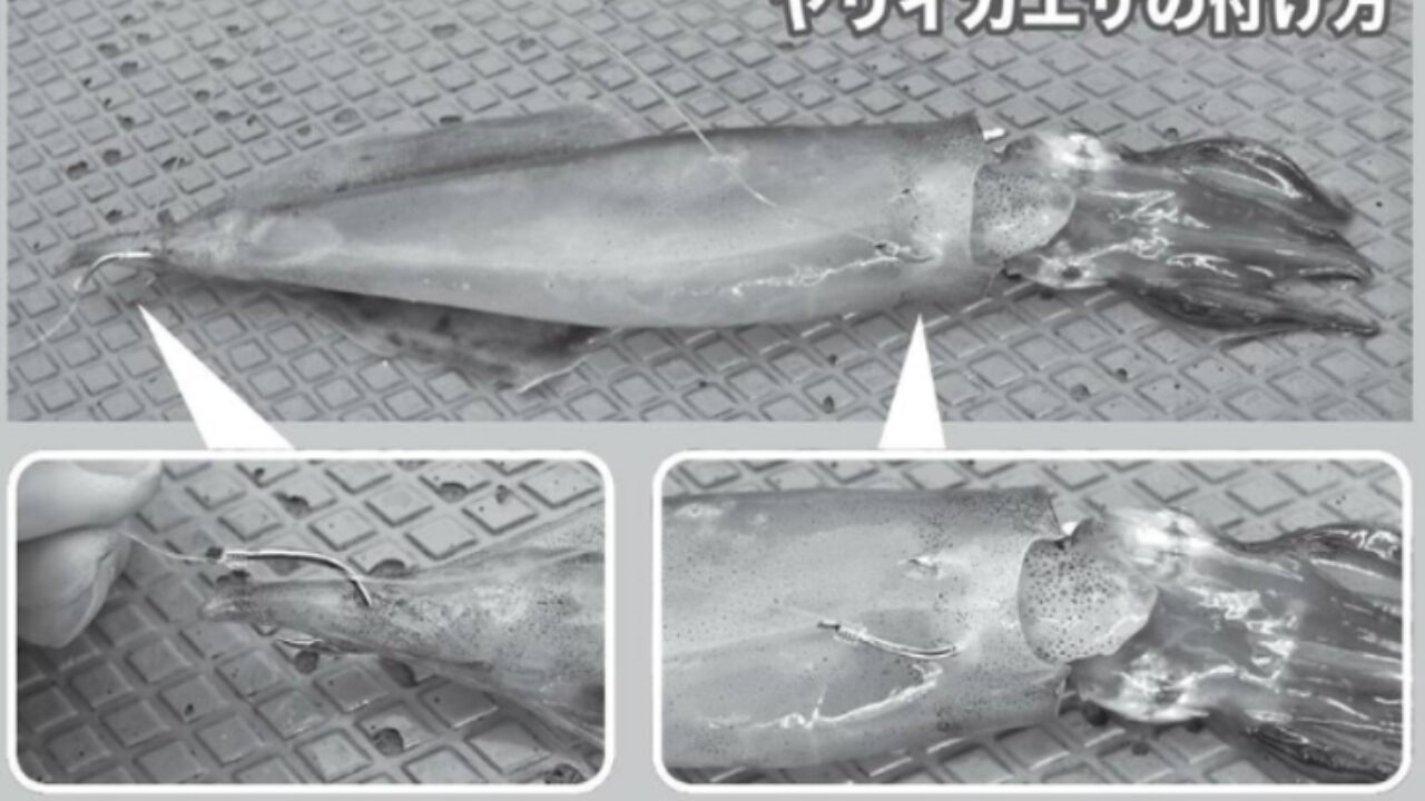 Tsuri-Joho_20241115_40page_3-